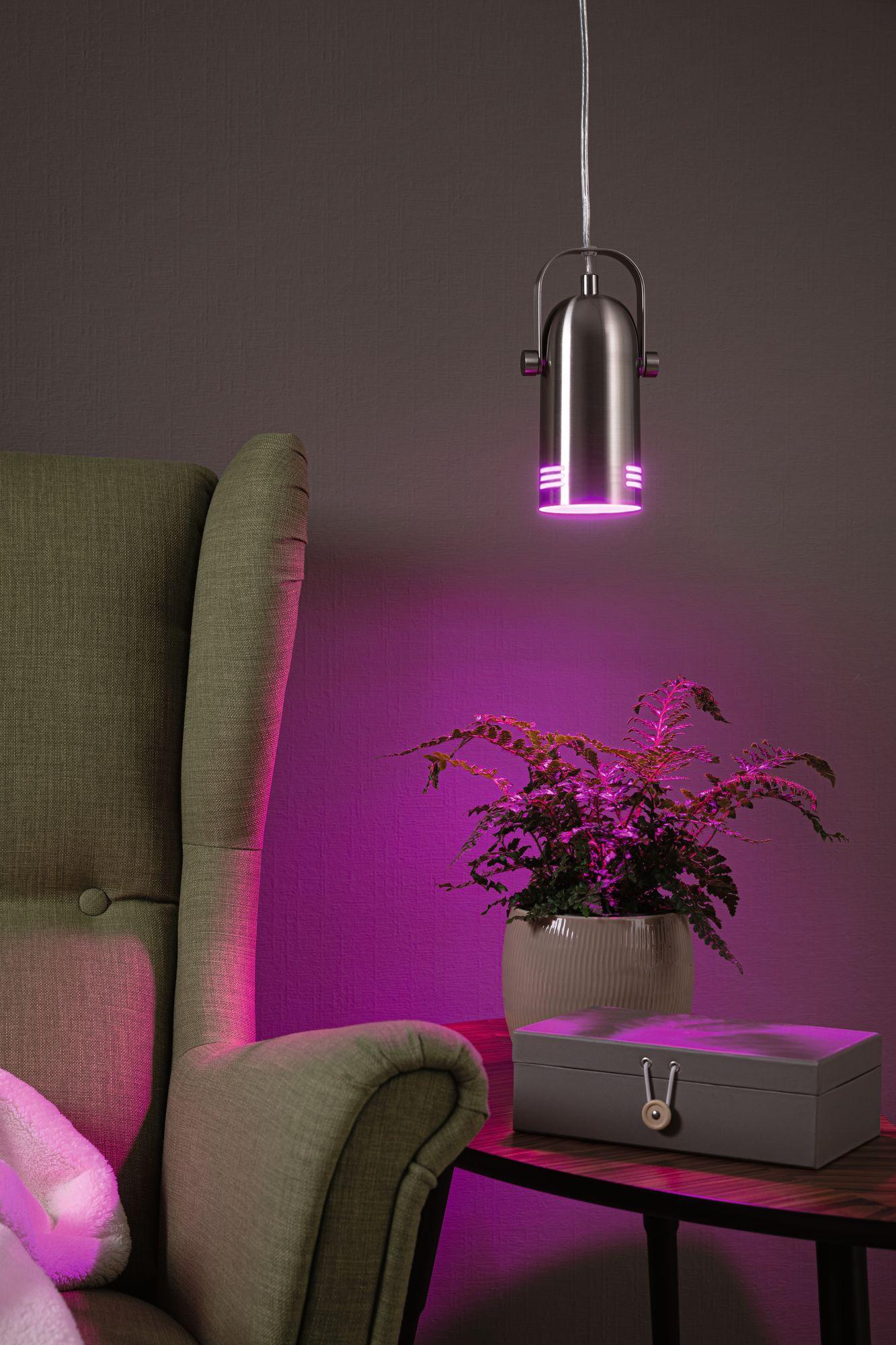 Závěsné svítidlo Neordic Lavea 1-ramenné pro osvětlení rostlin kov kartáčovaný bez zdroje světla max. 15W E27 - PAULMANN